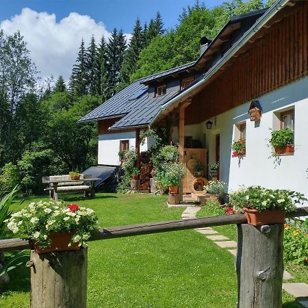 Železná RudaAlm-House Hollmannアパートメント エクステリア 写真