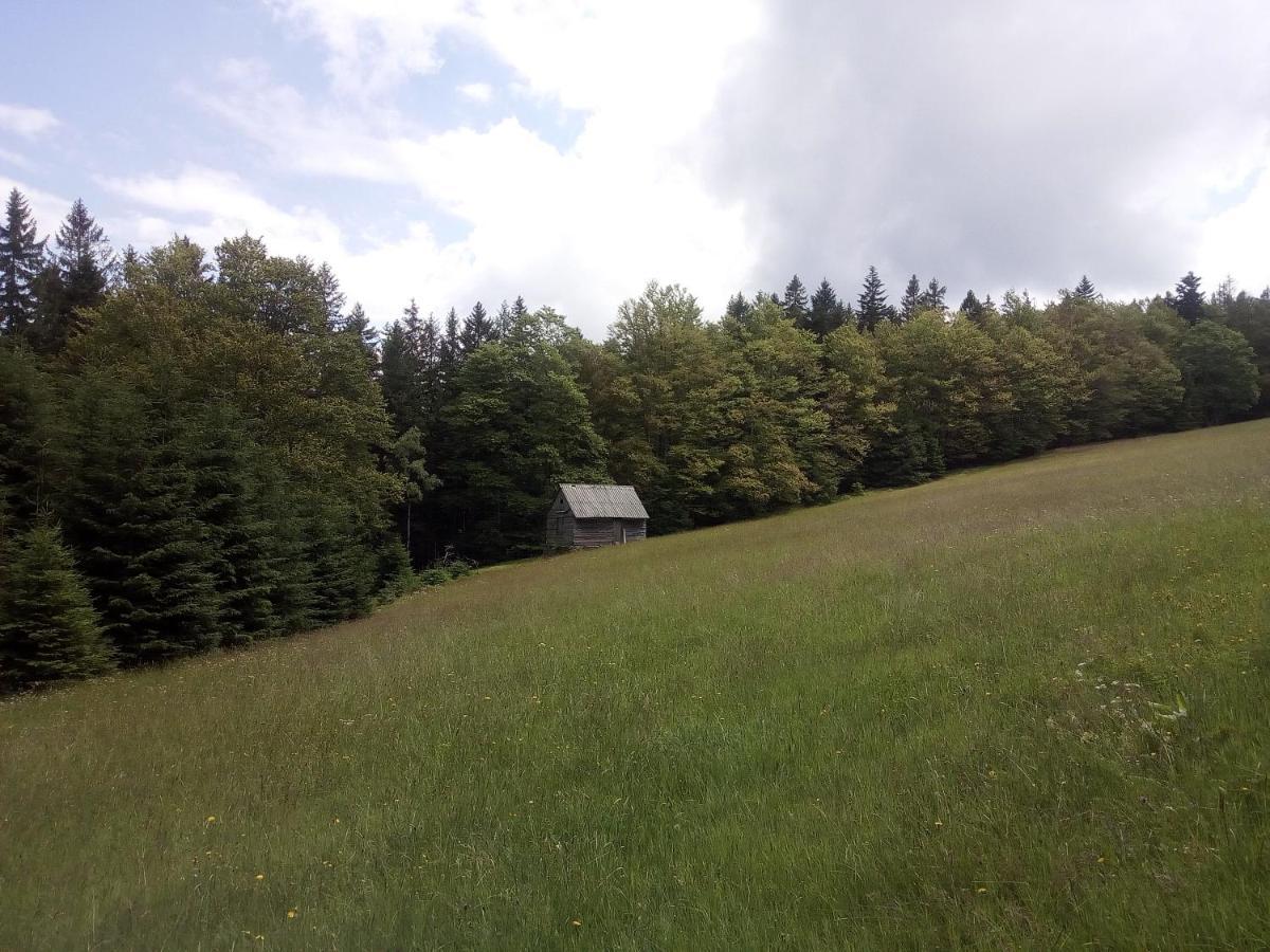 Železná RudaAlm-House Hollmannアパートメント エクステリア 写真