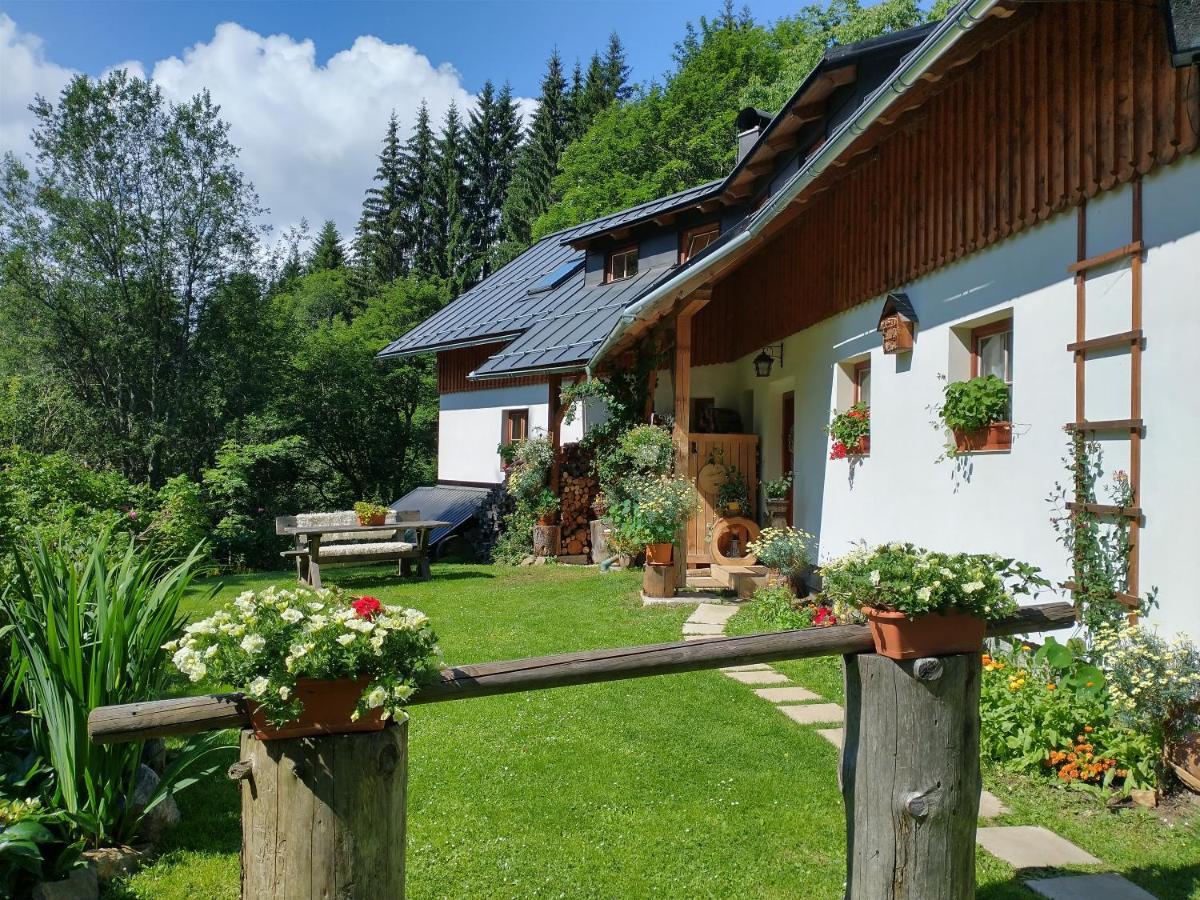 Železná RudaAlm-House Hollmannアパートメント エクステリア 写真